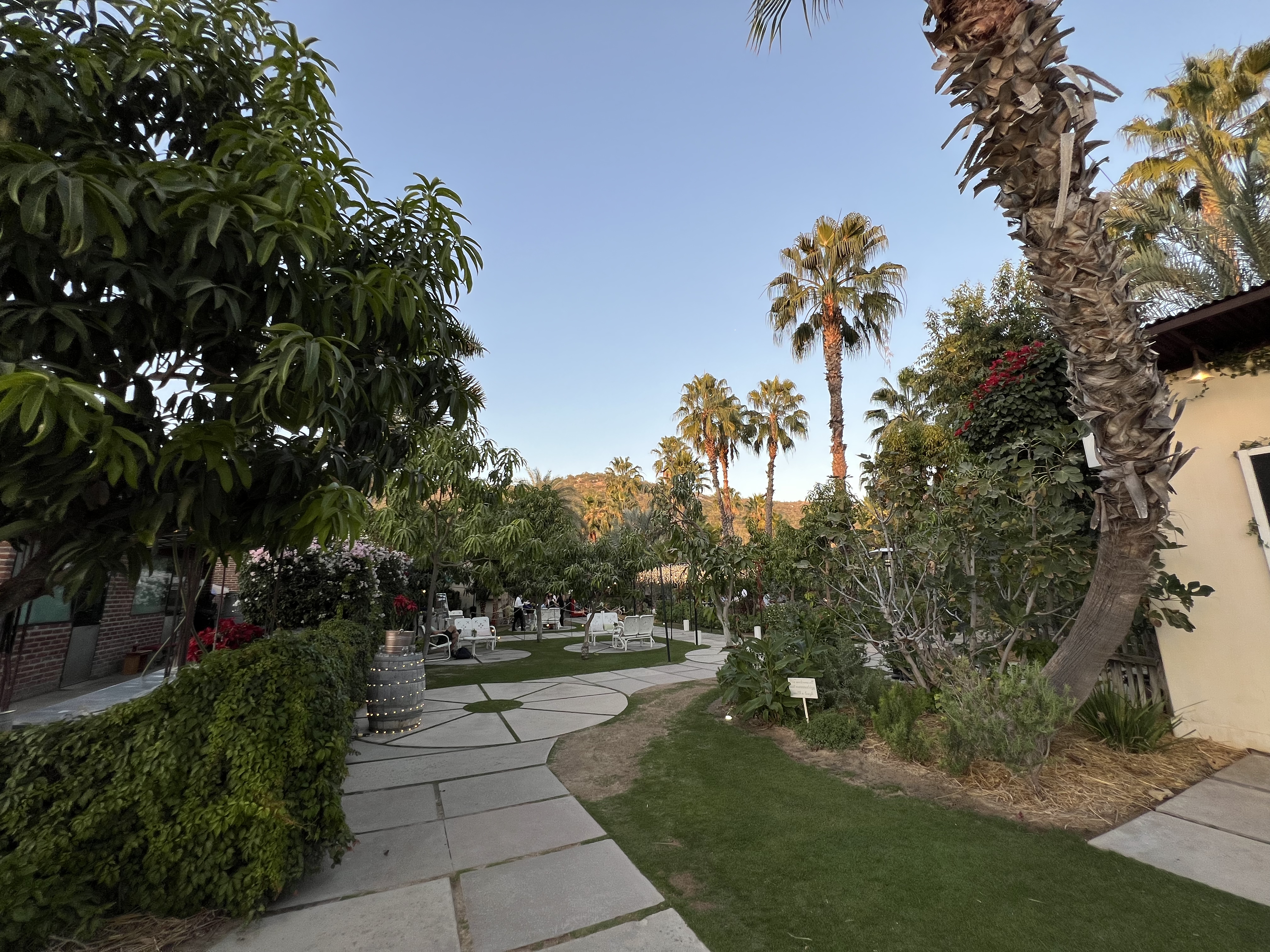 ./2024/13 - Cabo/IMG_4587.jpg